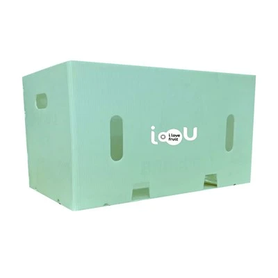 Boîte de tôle ondulée PP